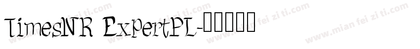 TimesNR ExpertPL字体转换